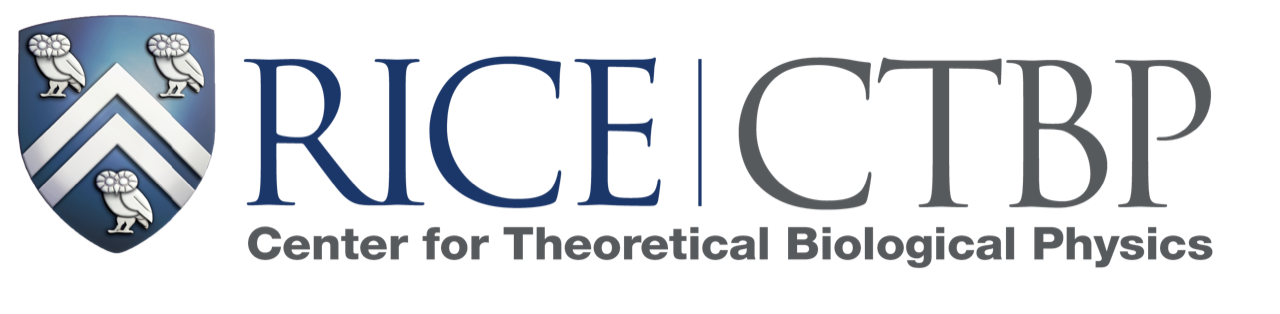 Rice Center for Theoretical Biological Physics logo
